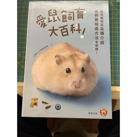 寵物老鼠種類|愛鼠飼育大百科：常見寵物鼠品種介紹與飼養相處方法全收錄！